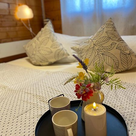 Ferienhaus-Blockhuette Im Fichtelgebirge - Nagler See 2 Km Nagel Eksteriør bilde